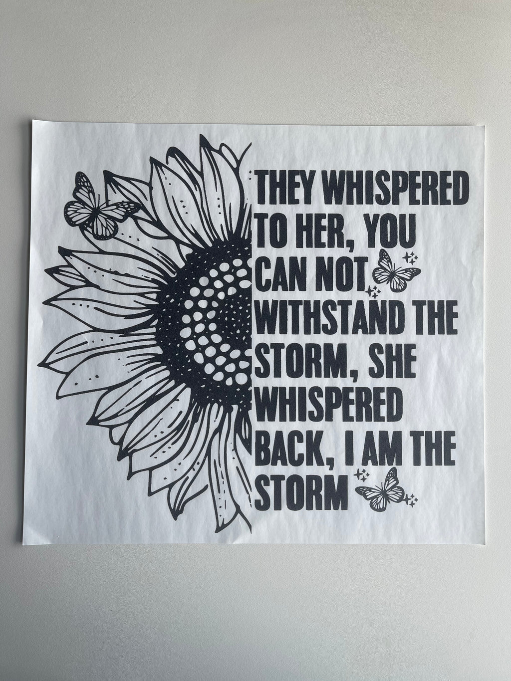 I am the storm
