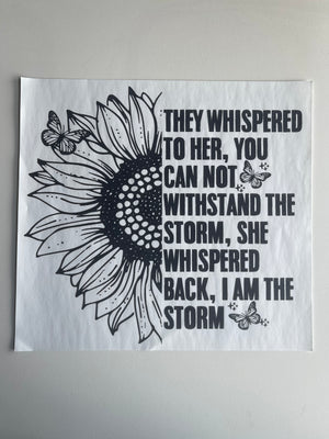 I am the storm